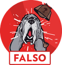 badge-falso