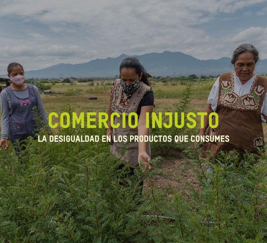 Comercio injusto: la desigualdad en los productos que consumes