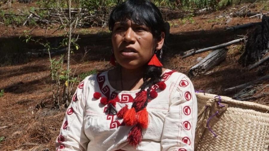 Organizaciones exigen localización de Irma Galindo, defensora de bosques