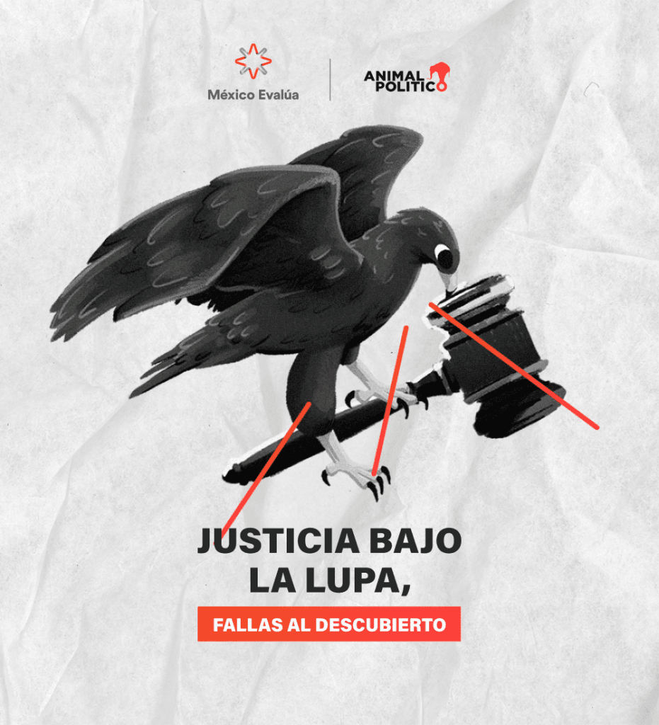 Imagen Justicia bajo la lupa, fallas al descubierto