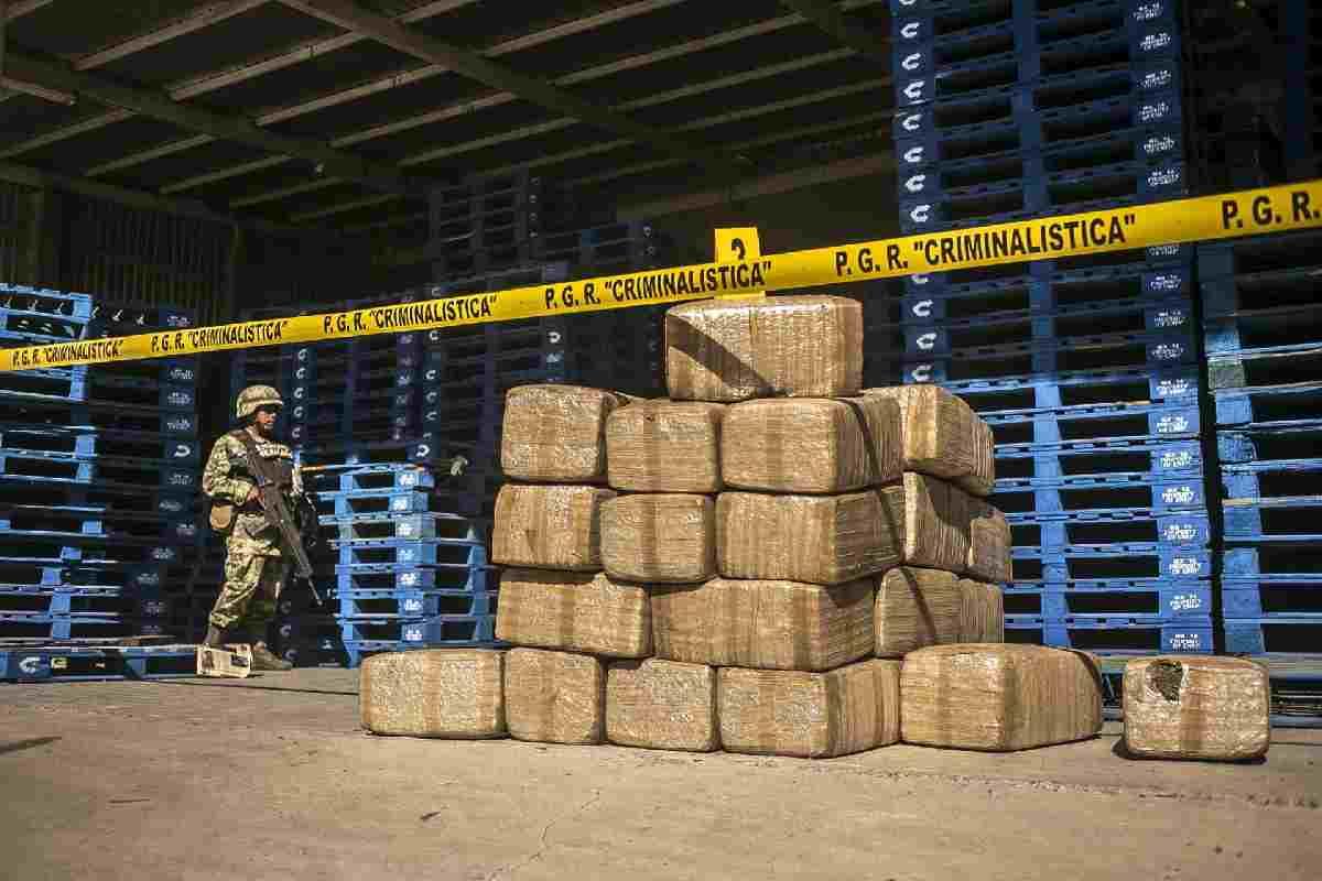 DEA estima que Cártel de Sinaloa y CJNG suman 44,800 miembros; la Marina tiene 52 mil efectivos